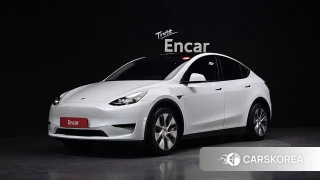 Tesla Model Y 2023 Белый из Кореи