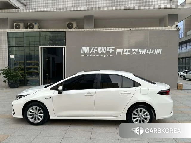 Toyota Corolla 2021 Белый из Китая