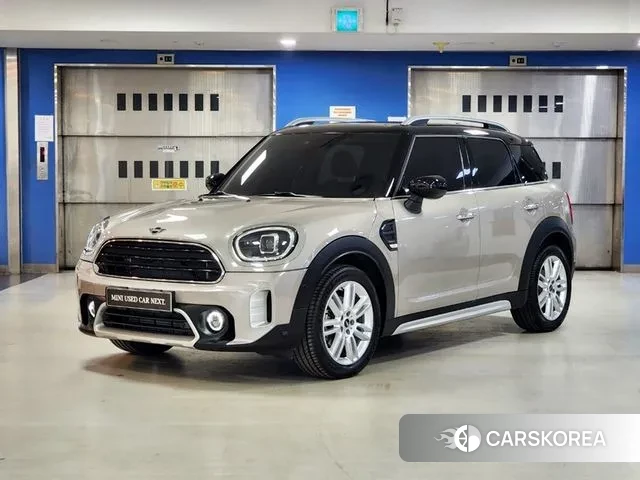 Mini Cooper Countryman 2022 Цвет тростника из Кореи
