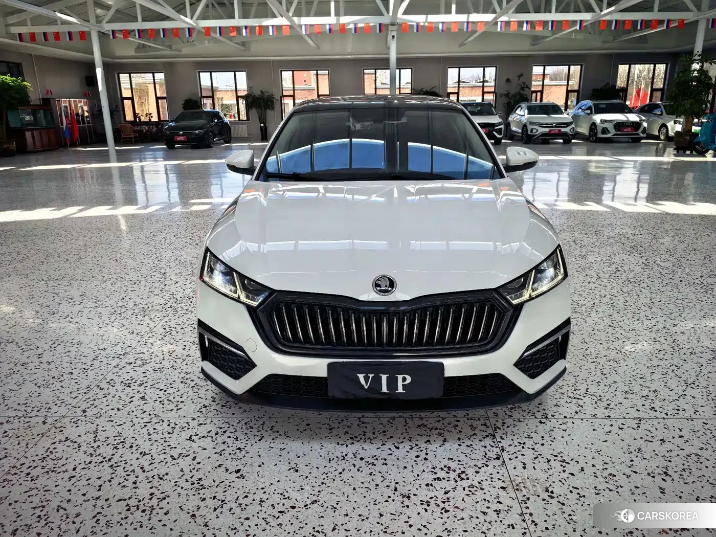 Skoda Octavia 2022 Белый из Китая