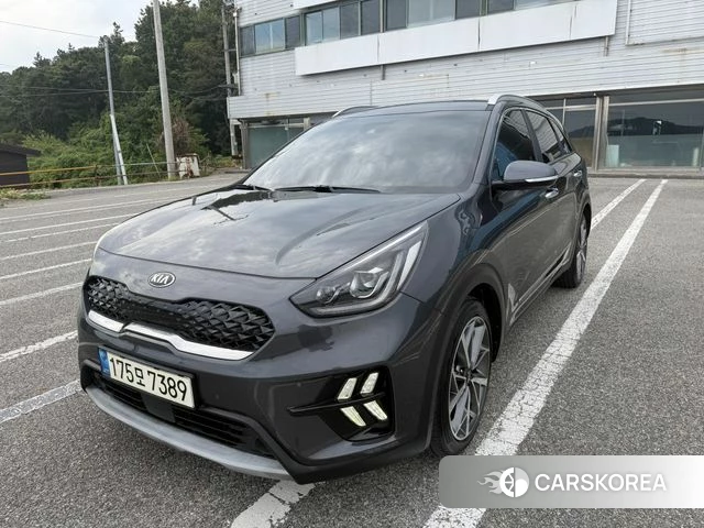Kia The New Niro 2020 Серый из Кореи