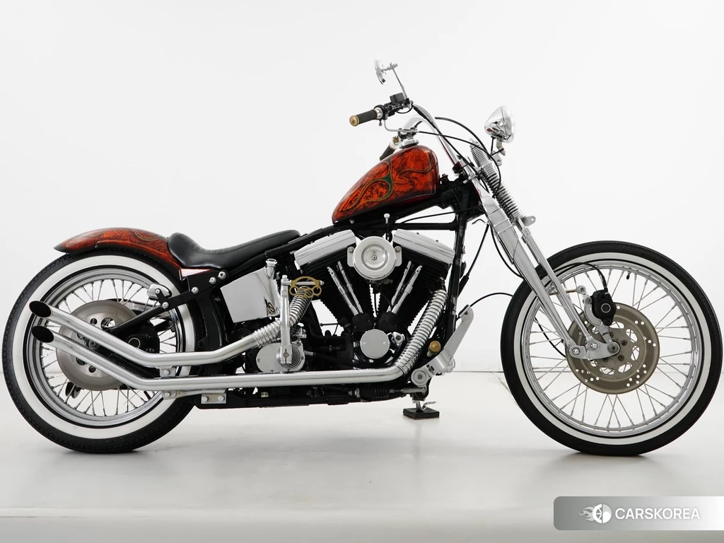 Проданный Harley-Davidson Softail Springer FXSTS1340 2020 из Японии, фото 2