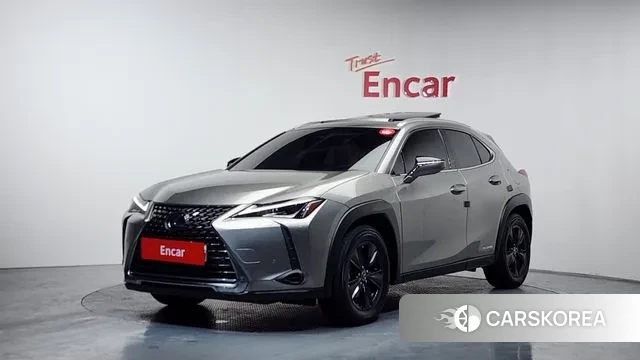 Lexus UX250h 2021 Серый из Кореи