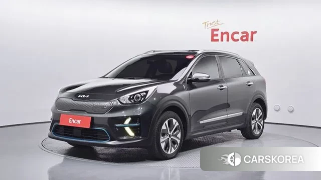 Kia Niro EV 2021 Серый из Кореи