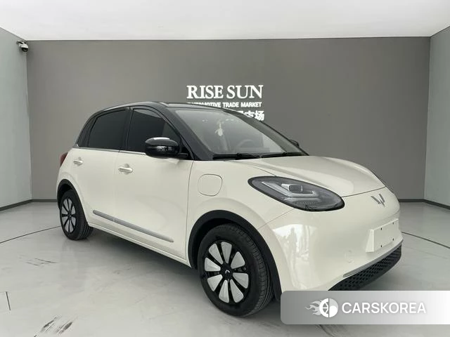 Wuling Automobile Wuling Bingguo 2025 Белый из Китая