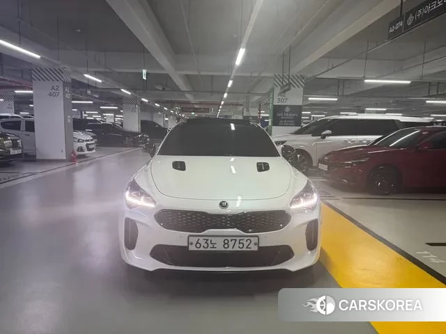 Kia Stinger 2019 Белый из Кореи