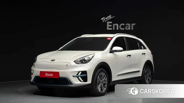 Kia Niro EV 2019 Белый из Кореи