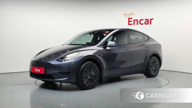 Tesla Model Y 2023 Серый из Кореи
