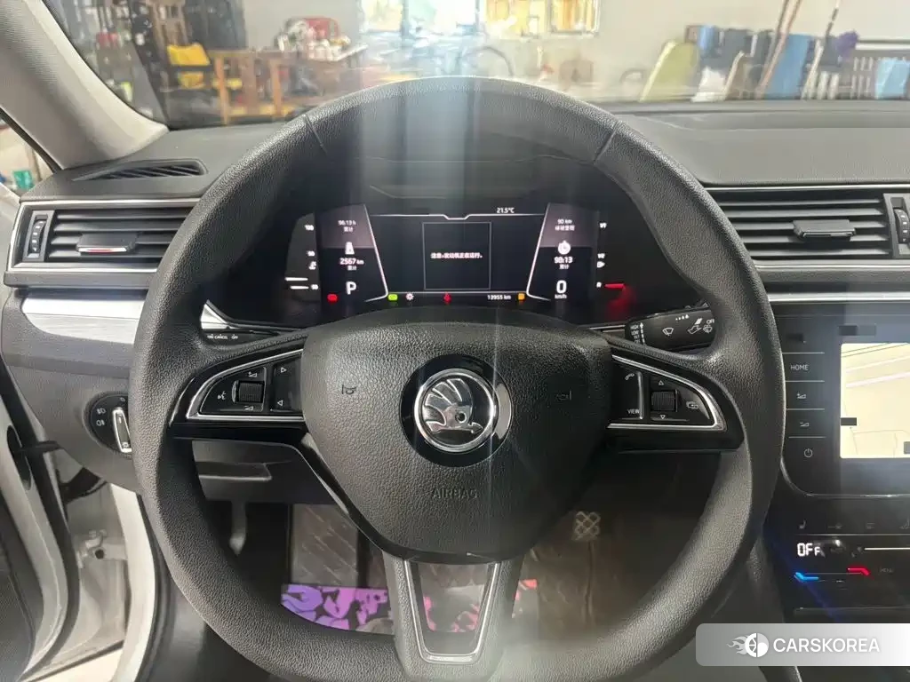 Skoda Speed pie 2023 Белый из Китая