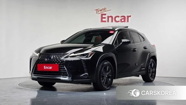 Lexus UX250h 2020 Серый из Кореи