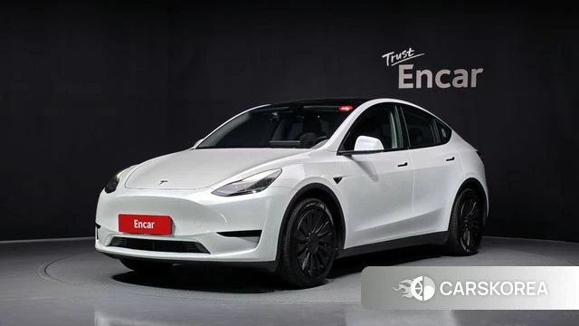 Tesla Model Y 2023 Белый из Кореи