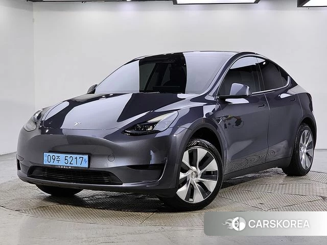 Tesla Model Y 2023 Серый из Кореи