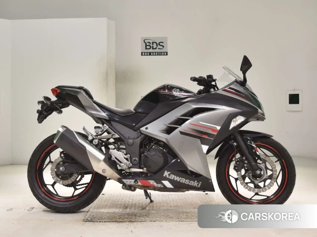 Kawasaki NINJA 250 ABS 2013 из Японии