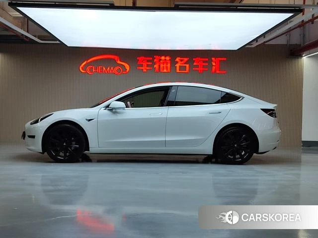 Tesla Model 3 2020 Белый из Китая