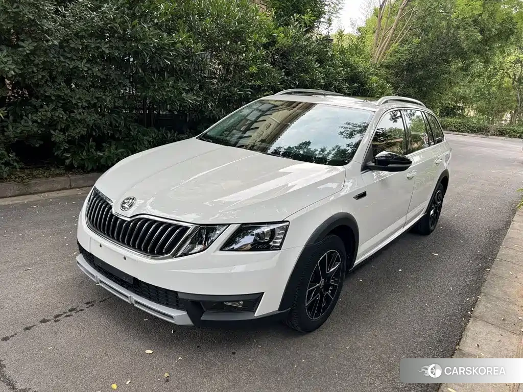 Skoda Octavia 2020 Белый из Китая
