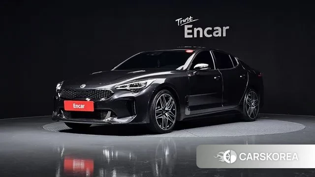 Kia Stinger 2019 Серый из Кореи