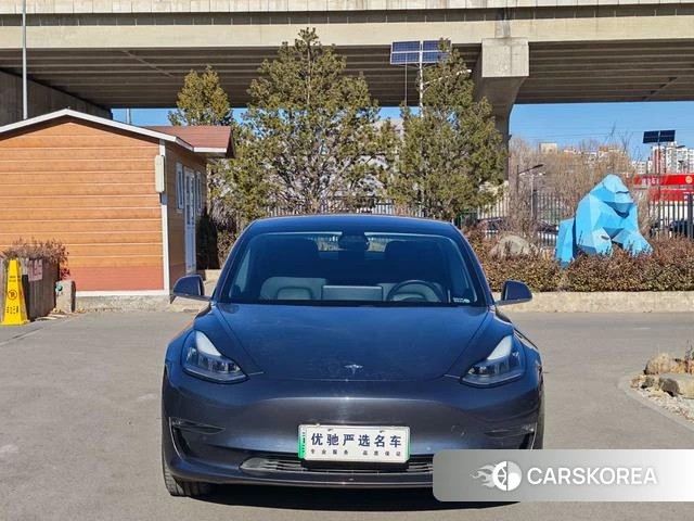 Tesla Model 3 (imported) 2019 Темно-серый из Китая