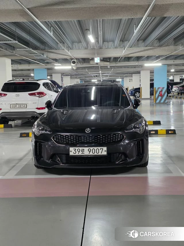 Kia Stinger 2018 Серый из Кореи