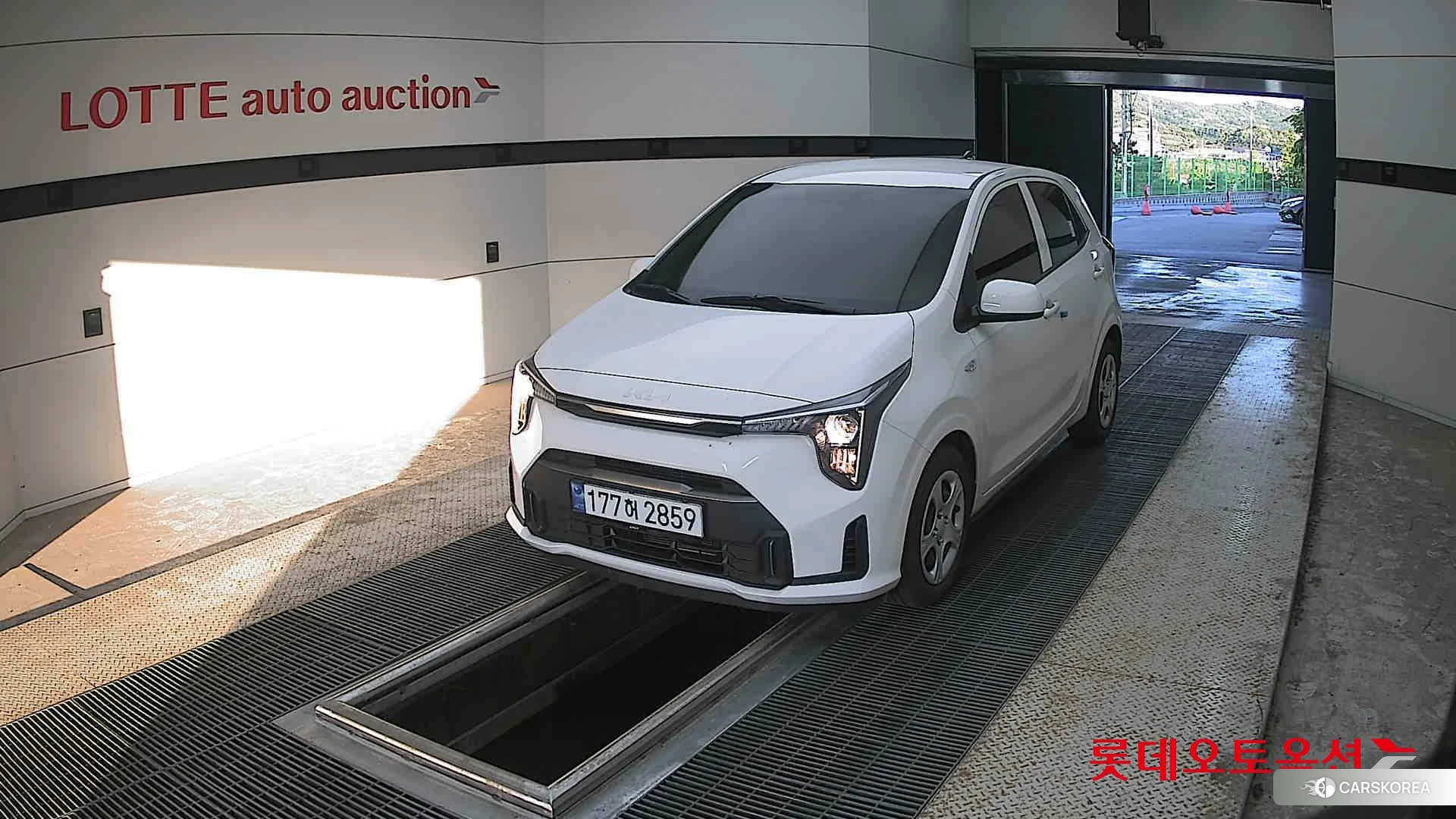 Kia Morning 2025 Pure White из Кореи