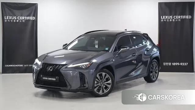 Lexus UX300h 2025 Серый из Кореи