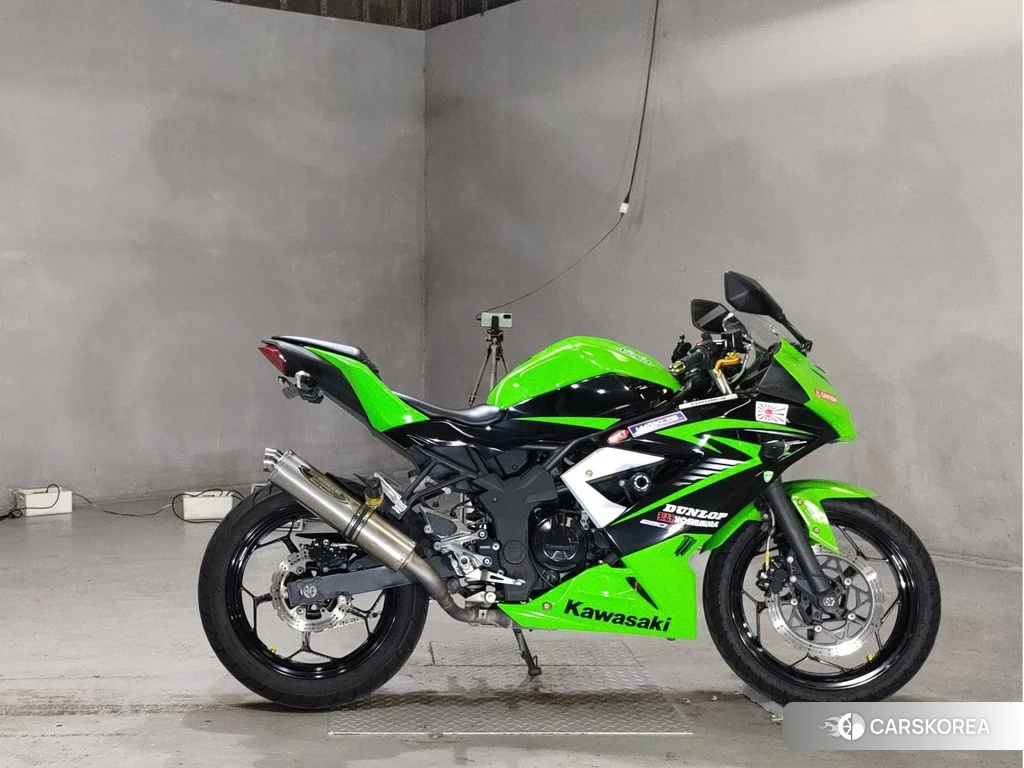 Проданный Kawasaki NINJA 250SL 2015 из Японии