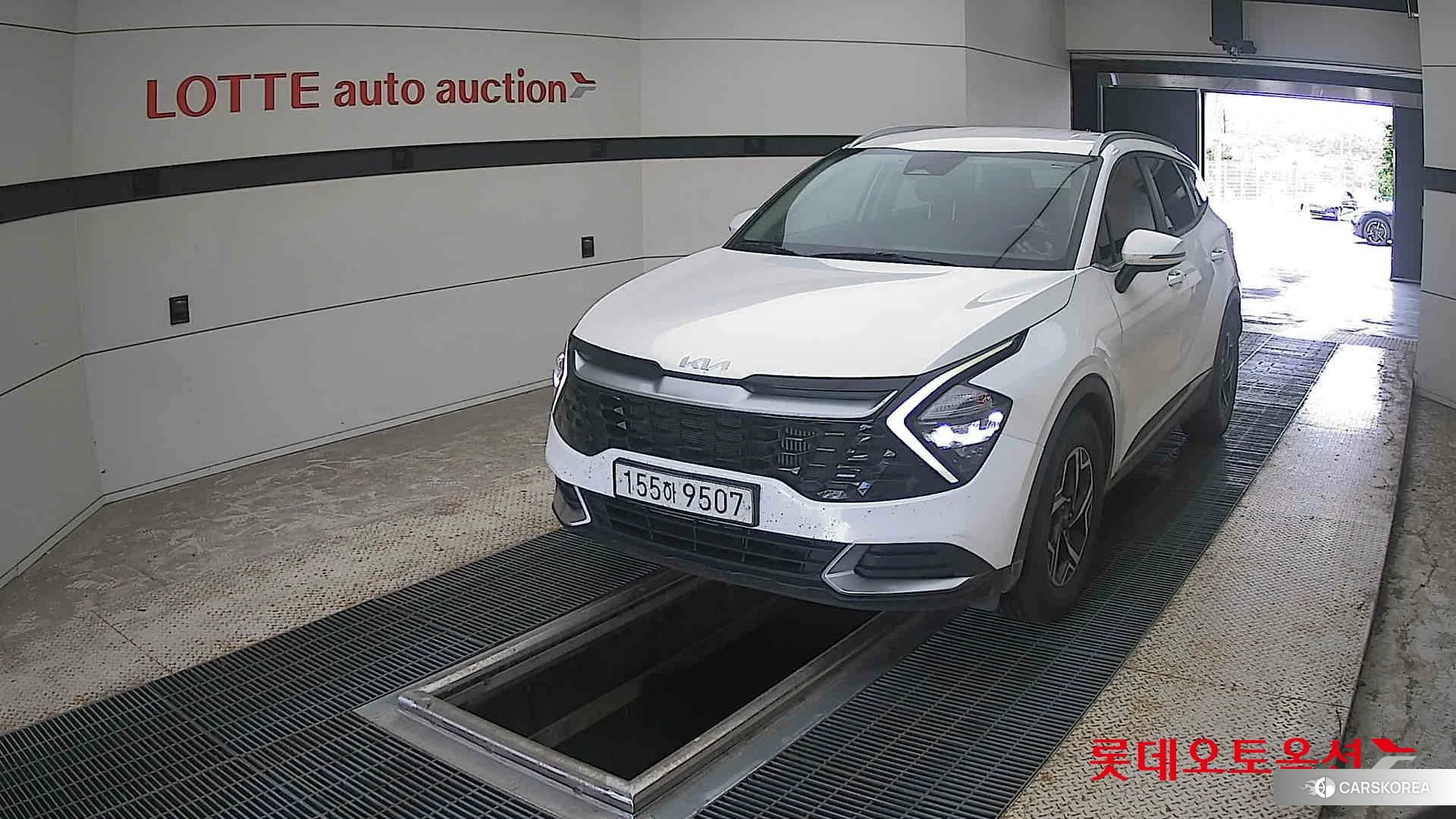 Kia Sportage 2022 Snow White Pearl (optional) из Кореи