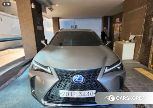 Lexus UX250h 2021 Серый из Кореи