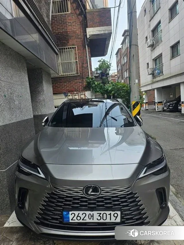 Lexus RX450h + 5th generation 2024 Серый из Кореи