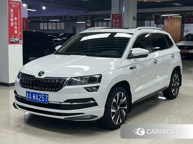 Skoda Krok 2023 Белый из Китая
