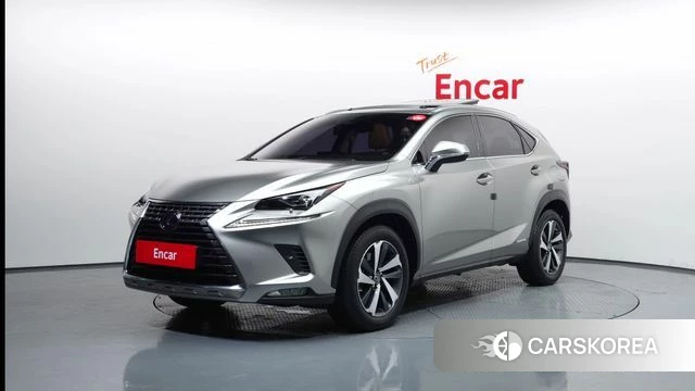 Lexus NX300h 2021 Серебряный из Кореи