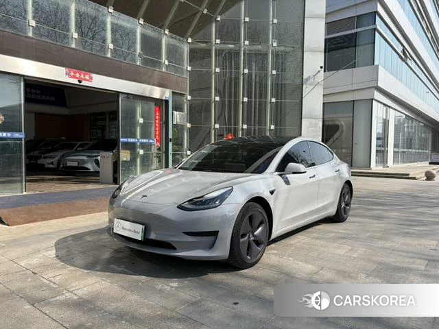 Tesla Model 3 2020 Темно-серый из Китая