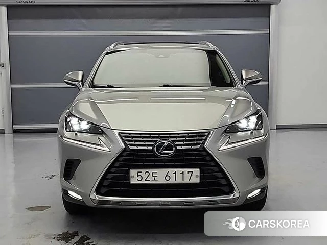Lexus NX300h 2019 Серый из Кореи