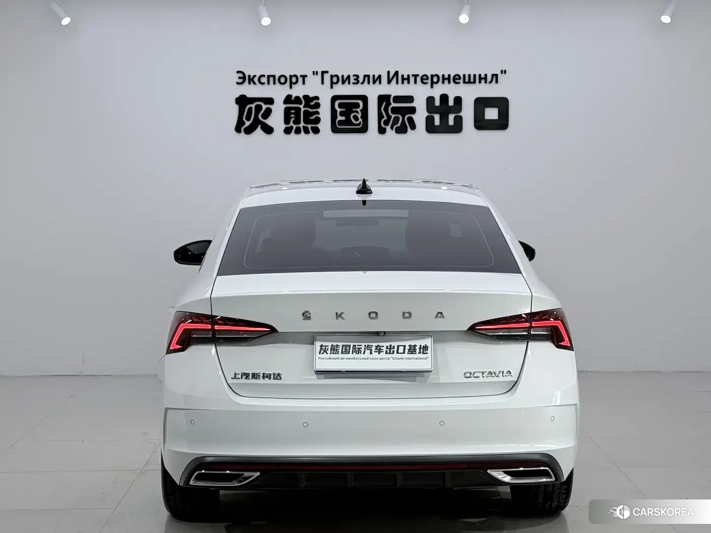 Skoda Octavia 2024 Белый из Китая