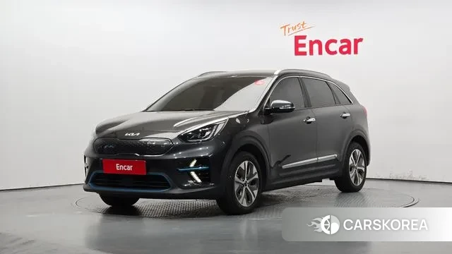 Kia Niro EV 2021 Серый из Кореи