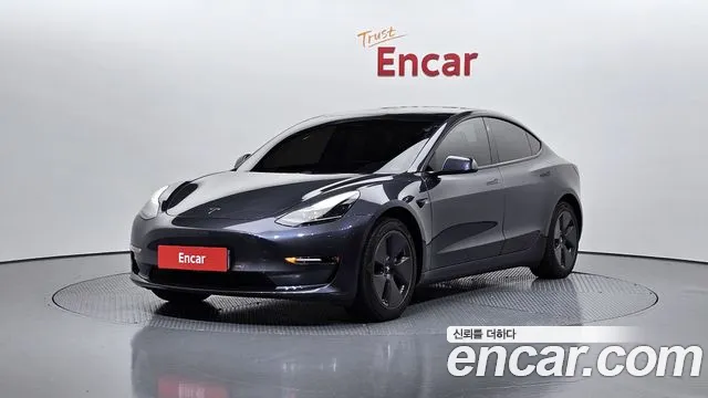 Tesla Model 3 2021 Серый из Кореи