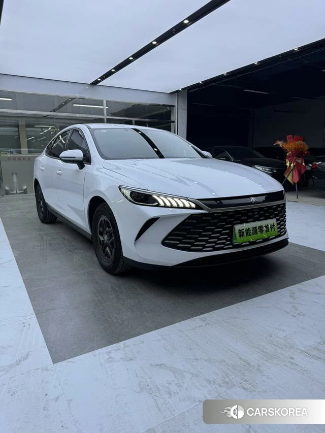 BYD Qin PLUS DM 2025 Белый из Китая