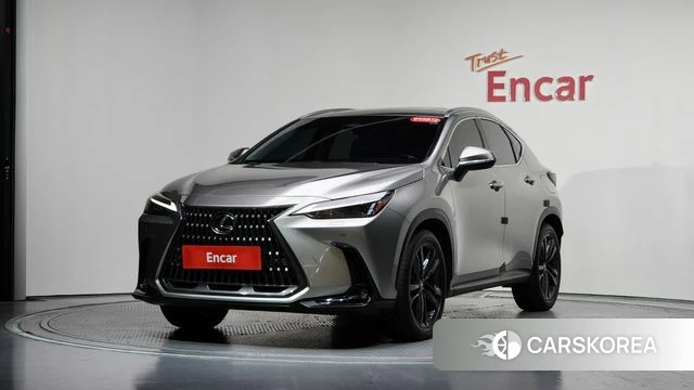 Lexus NX350h Second generation 2023 Серебристо-серый из Кореи