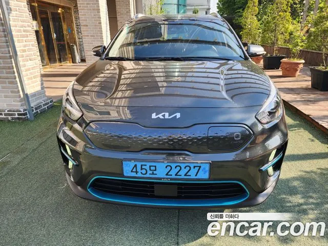 Kia Niro EV 2021 Серый из Кореи