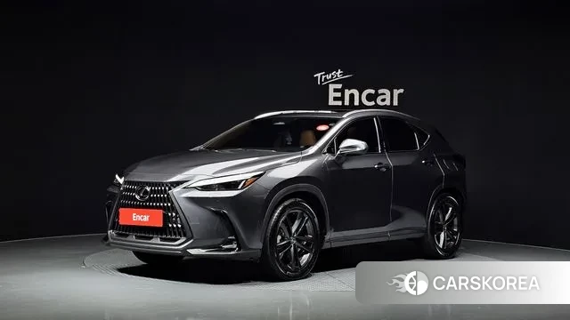 Lexus NX350h Second generation 2023 Серый из Кореи