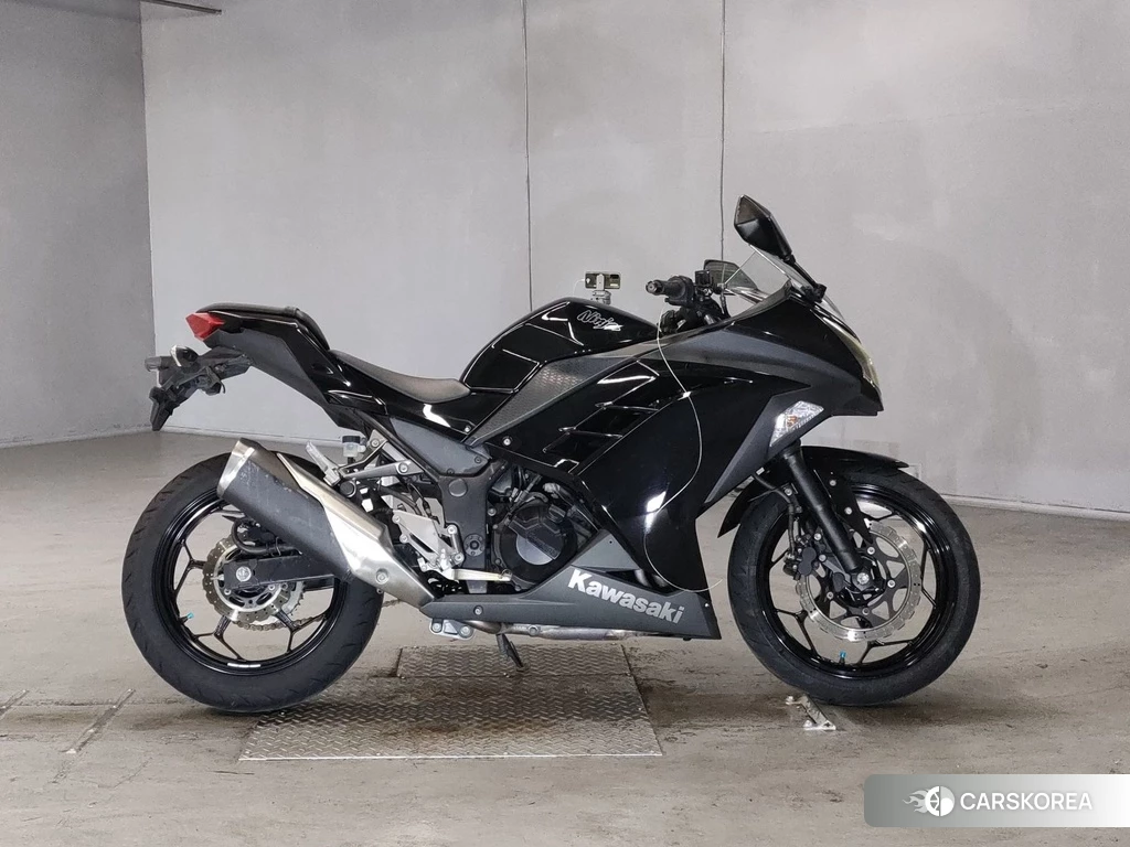 Проданный Kawasaki NINJA 250 2014 из Японии