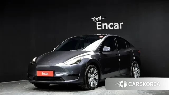 Tesla Model Y 2023 Серый из Кореи