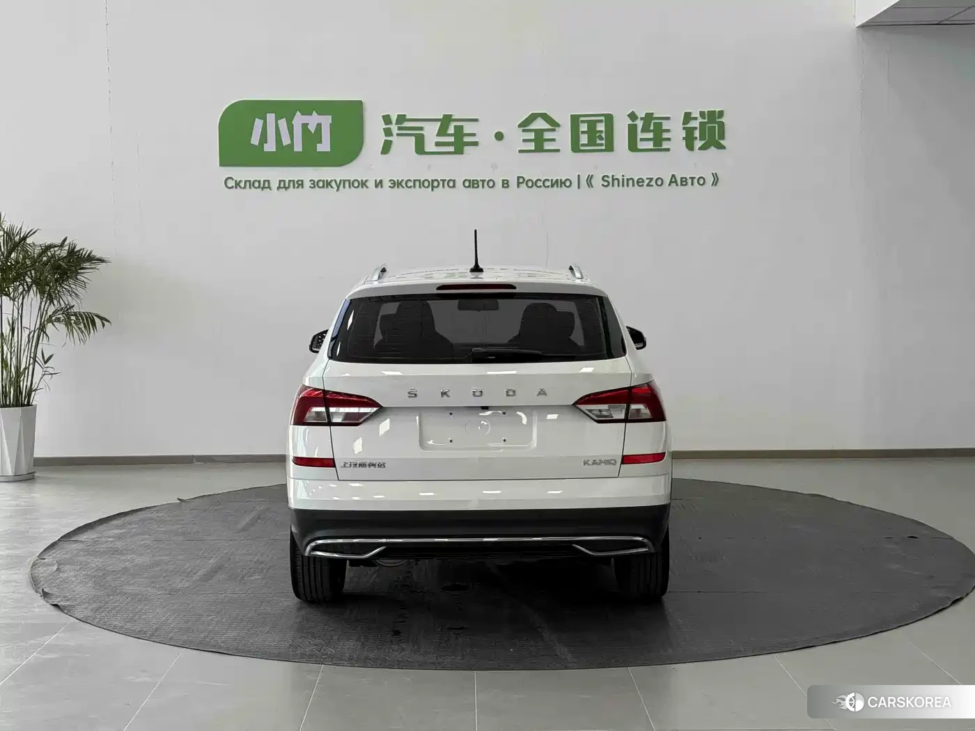 Skoda Kamiq 2022 Белый из Китая