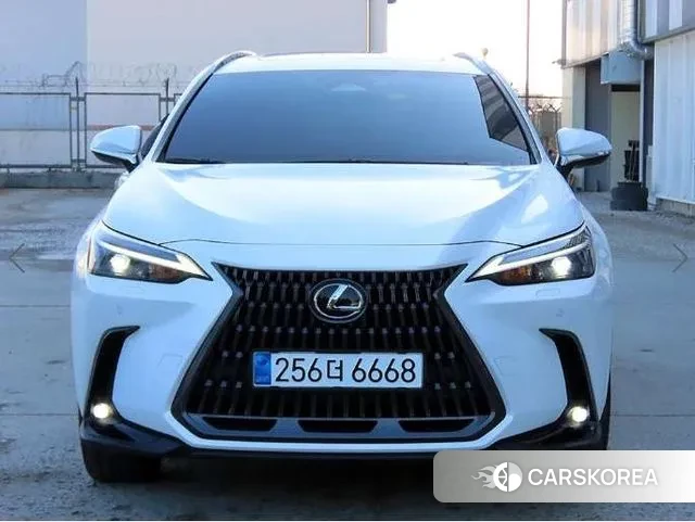 Lexus NX350h Second generation 2024 Белый из Кореи