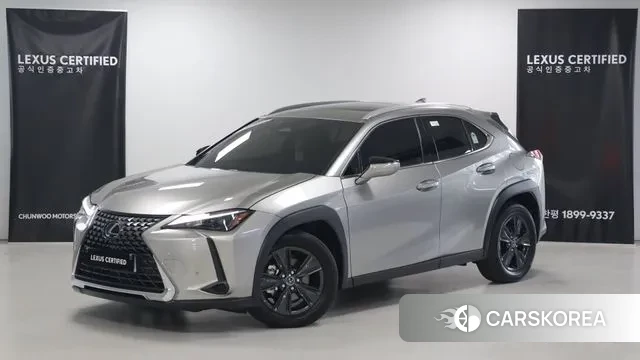 Lexus UX300h 2024 Серебристо-серый из Кореи