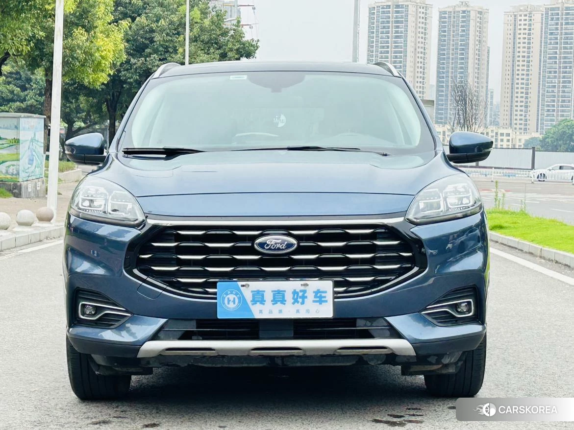 Ford Ruiji 2020 Синий из Китая