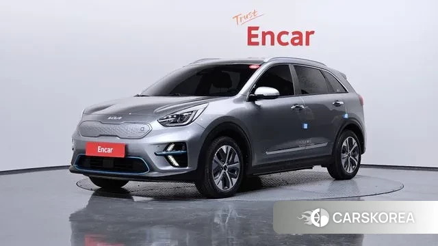 Kia Niro EV 2021 Серый из Кореи