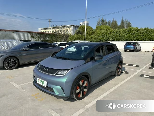 BYD dolphin 2022 Синий из Китая