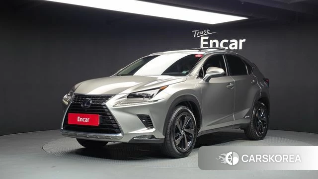Lexus NX300h 2019 Песочный из Кореи