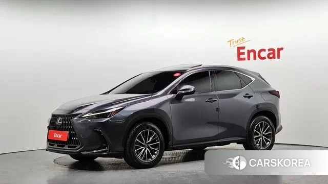 Lexus NX450h + 2nd generation 2022 Серый из Кореи