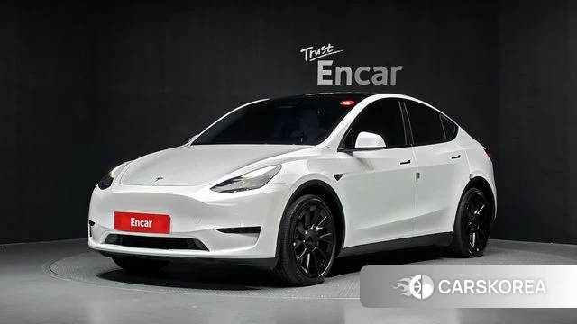 Tesla Model Y 2023 Белый из Кореи